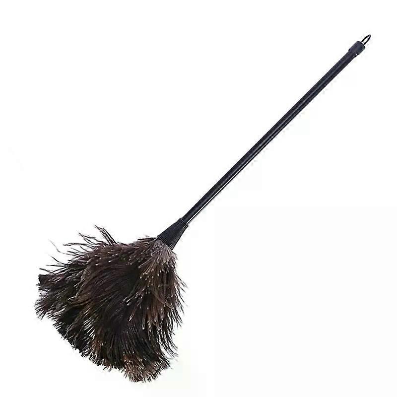 Ostrich Duster Feather Cleaning Brush with Long Handle Computer Dust Removal