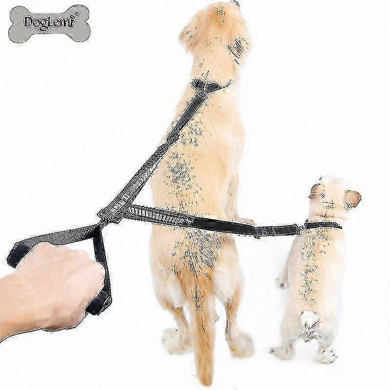 Tangle-Free Double Leash for Two Dogs, 360° Rotation, Heavy Duty up to 200 Pounds, Black Large Size