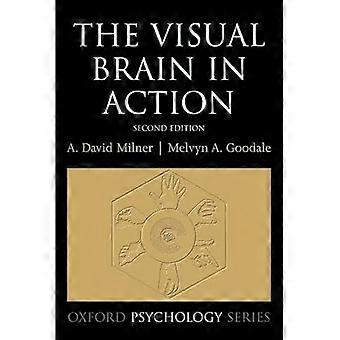 The Visual Brain in Action (Oxford Psychology Series)
