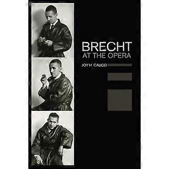 Brecht an der Oper - California Studies in 20Th-Century Music