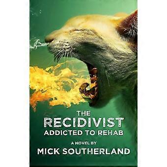 The Recidivist: Addicted to Rehab: Ein schockierender Roman über Alkoholismus, Reha und Erlösung.