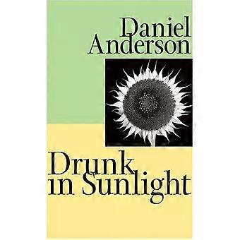 Drunk In Sunlight - Anderson, Daniel