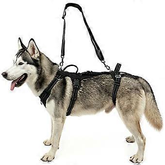 Dog Harnesses Leashes Set for Small Media Dog Adjustable Reflective Puppies Cats Harnesses Pet Vest Outdoor  XL