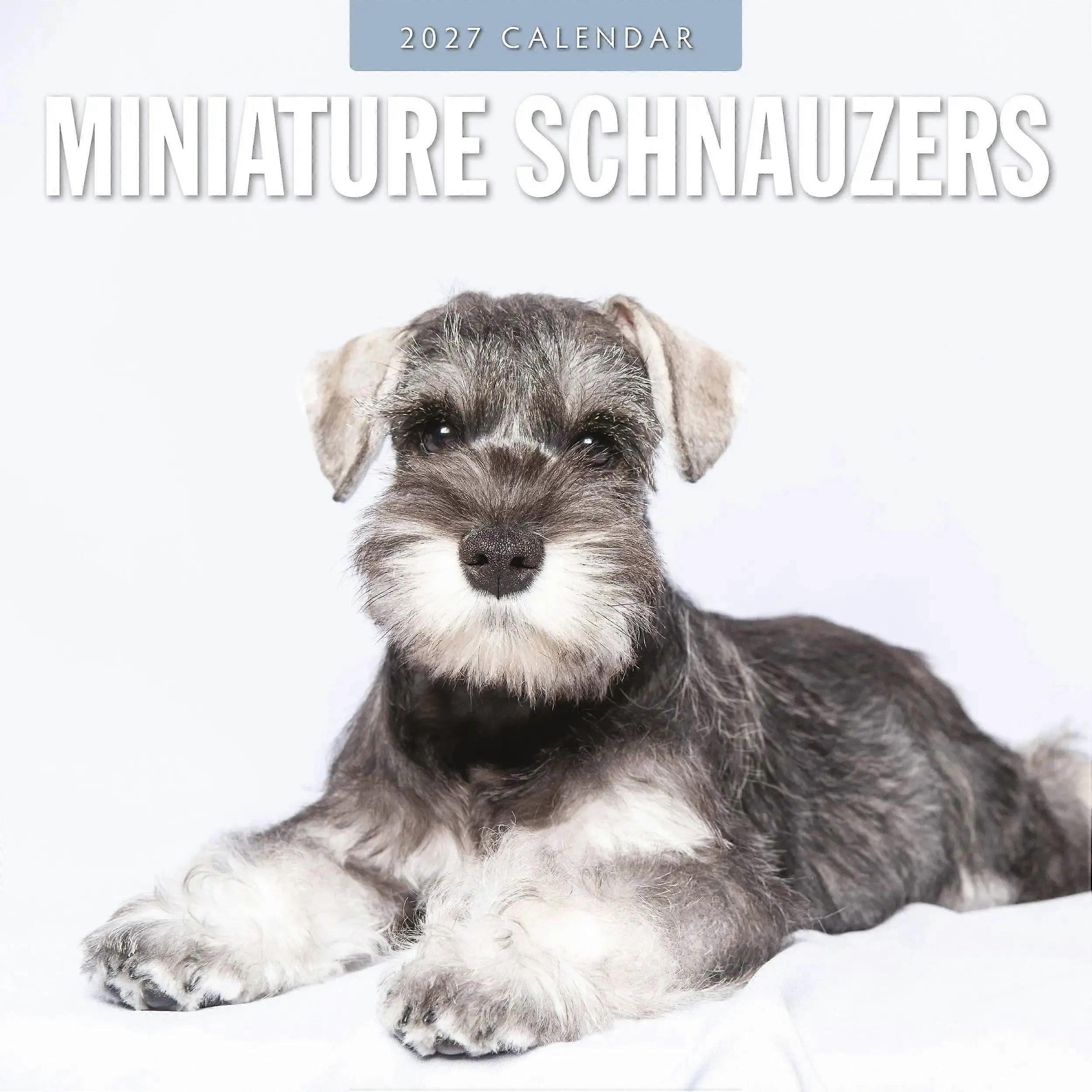 Miniature Schnauzer Calendar 2027