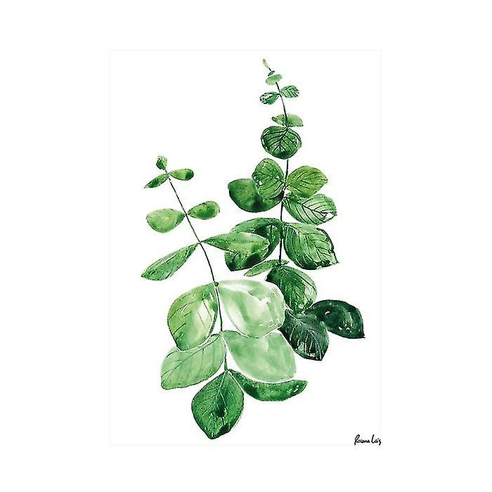 Rosana Laiz Branch Akwarela