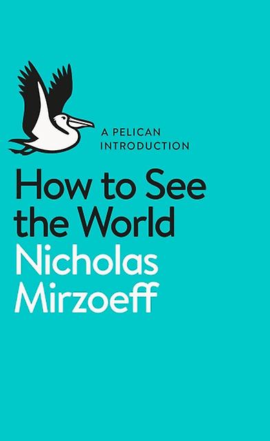 How To See The World by Nicholas Mirzoeff Paperback