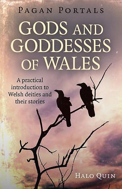 Pagan Portals Gods And Goddesses Of Wales by Halo Quin Paperback Book