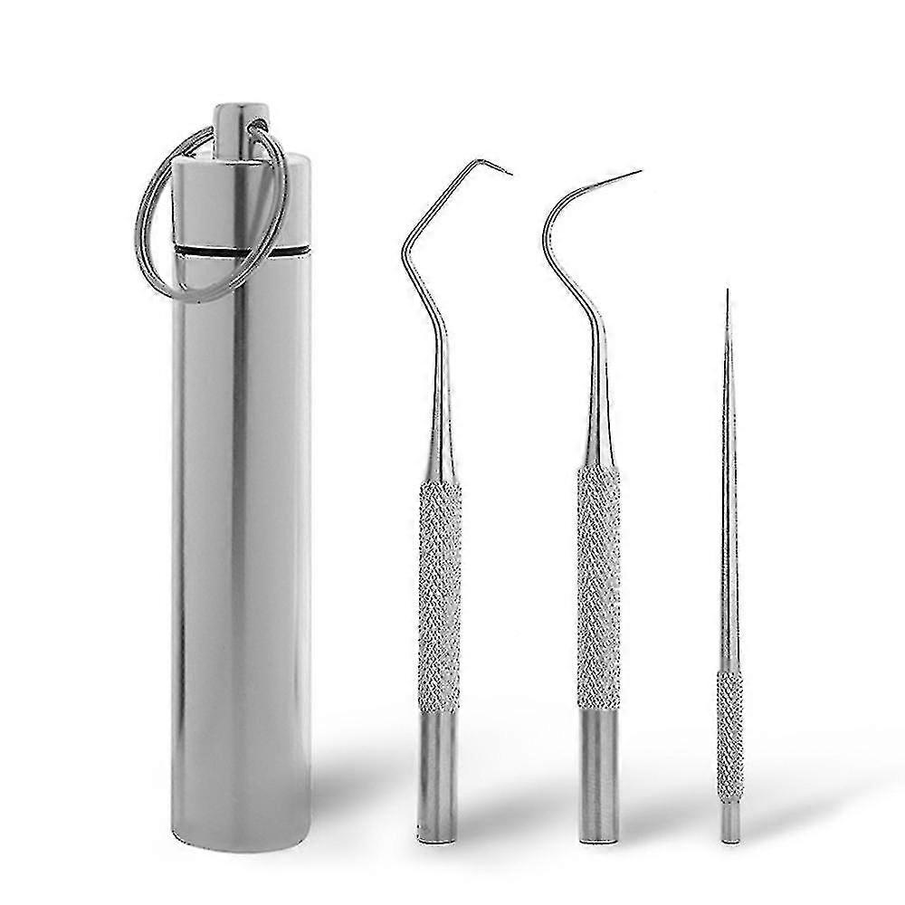 Portable Toothpick Set Stainless Steel Tooth Pick Tool