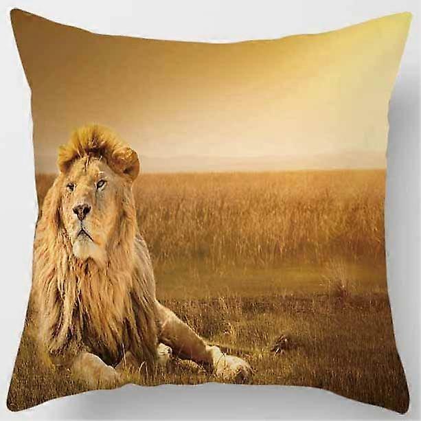 Pillowcase Square Pattern Style-1055 Bedroom Sofa Car Cushion Cover Pillowcase