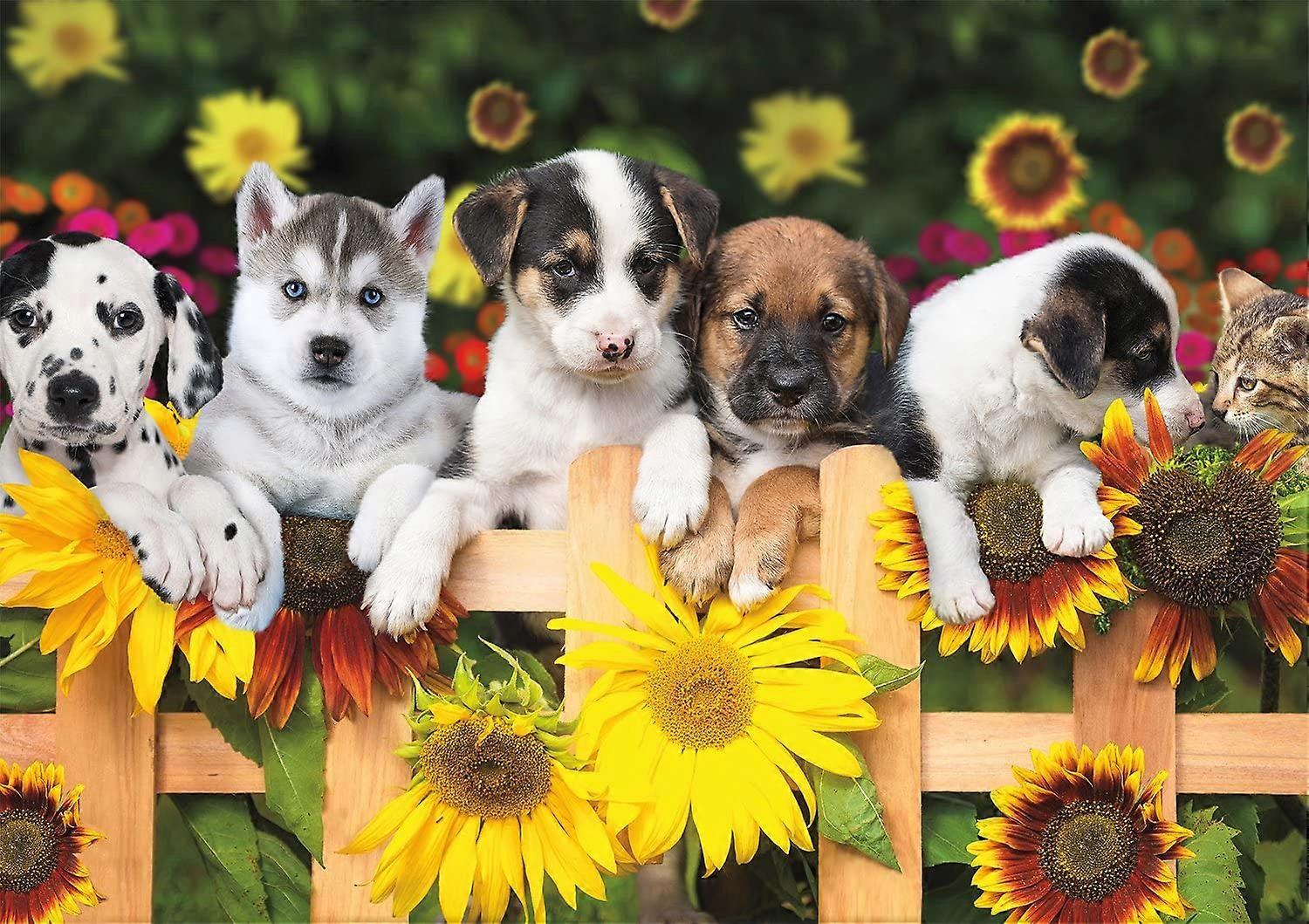 The Gang's All Here - 200 LARGE Piece Jigsaw Puzzle