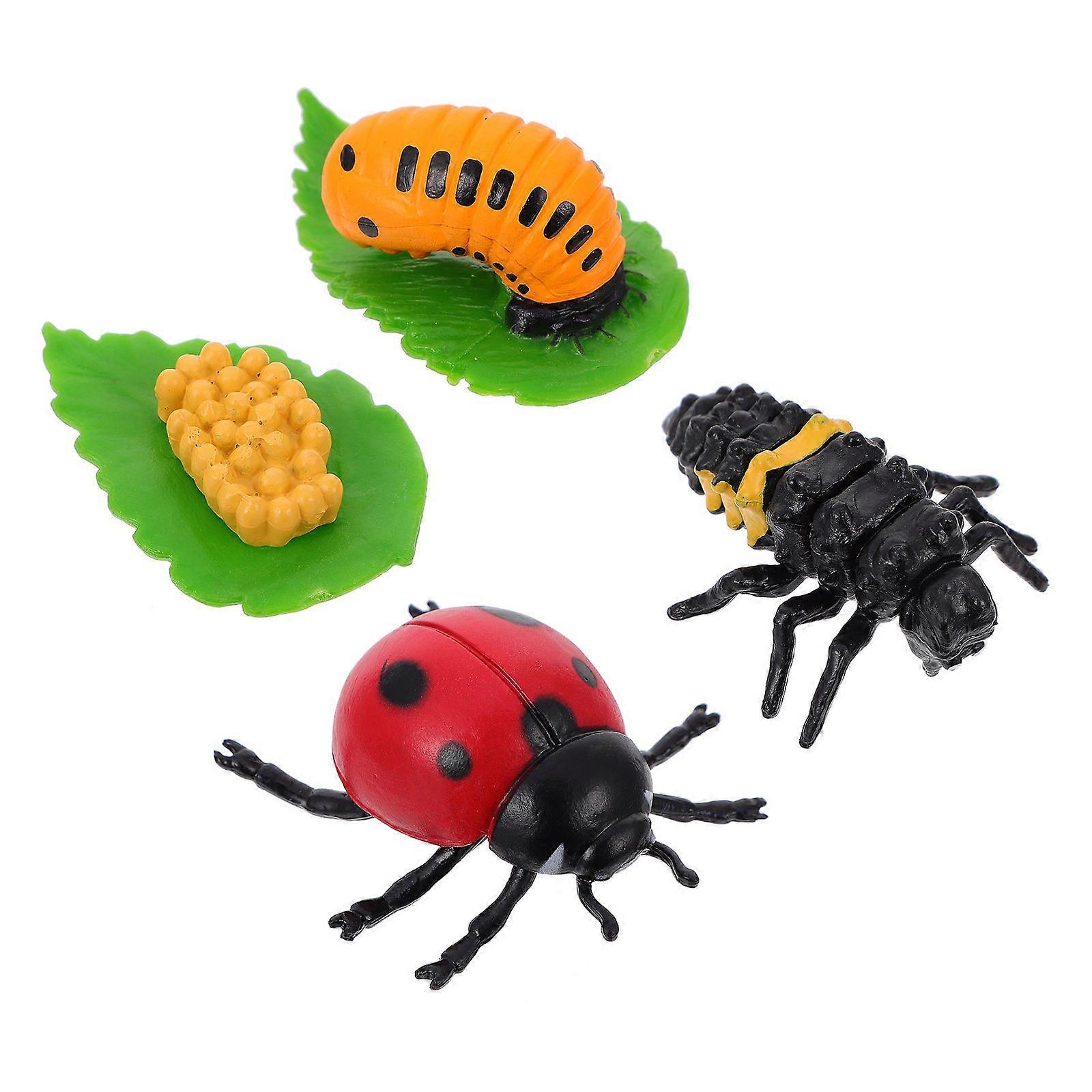 4Pcs Insect Figurines Life Cycle of Ladybug Ornaments Funny Kids Plaything