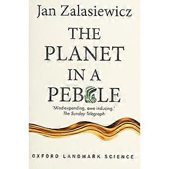 De planeet in een kiezelsteen: een reis door de diepe geschiedenis van de aarde.