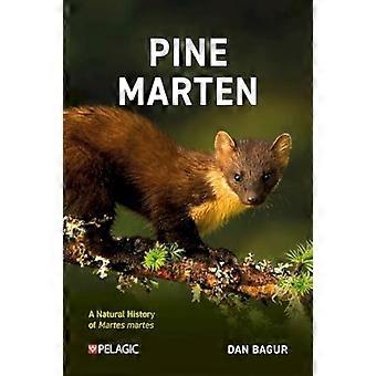 Pine Marten The Secret Life of Martes martes
