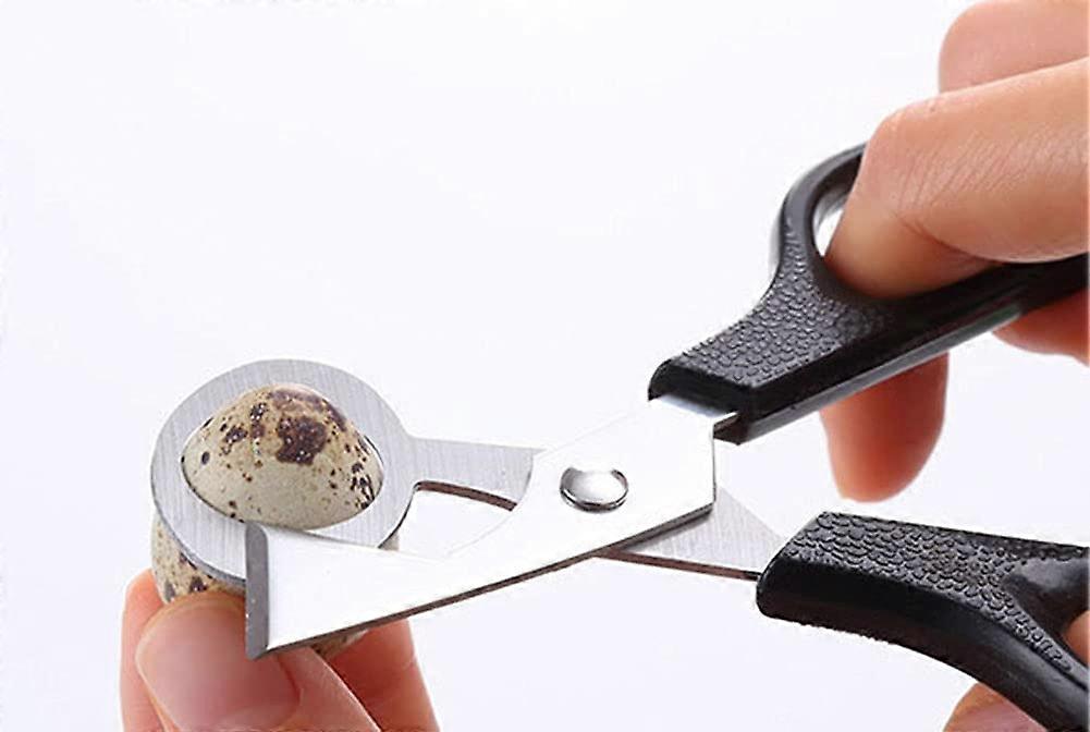 Stainless Steel Multi-Purpose Kitchen High Scissors Visibility Nut Multi-Purpose Tool For Nuts