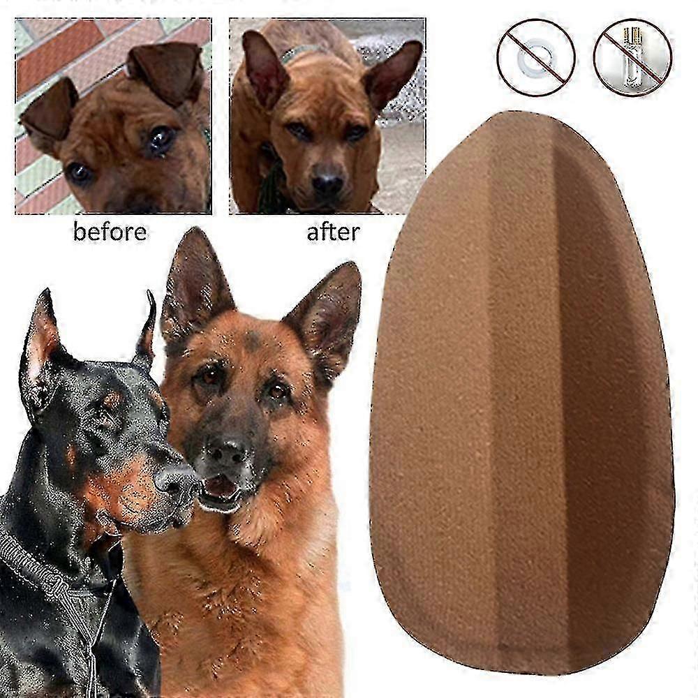 Köpek Kulak Stand Up Sticker Yardımı Dikilmiş Kulak Aracı Köpek Kulağı Dikey Araçlar Bakım