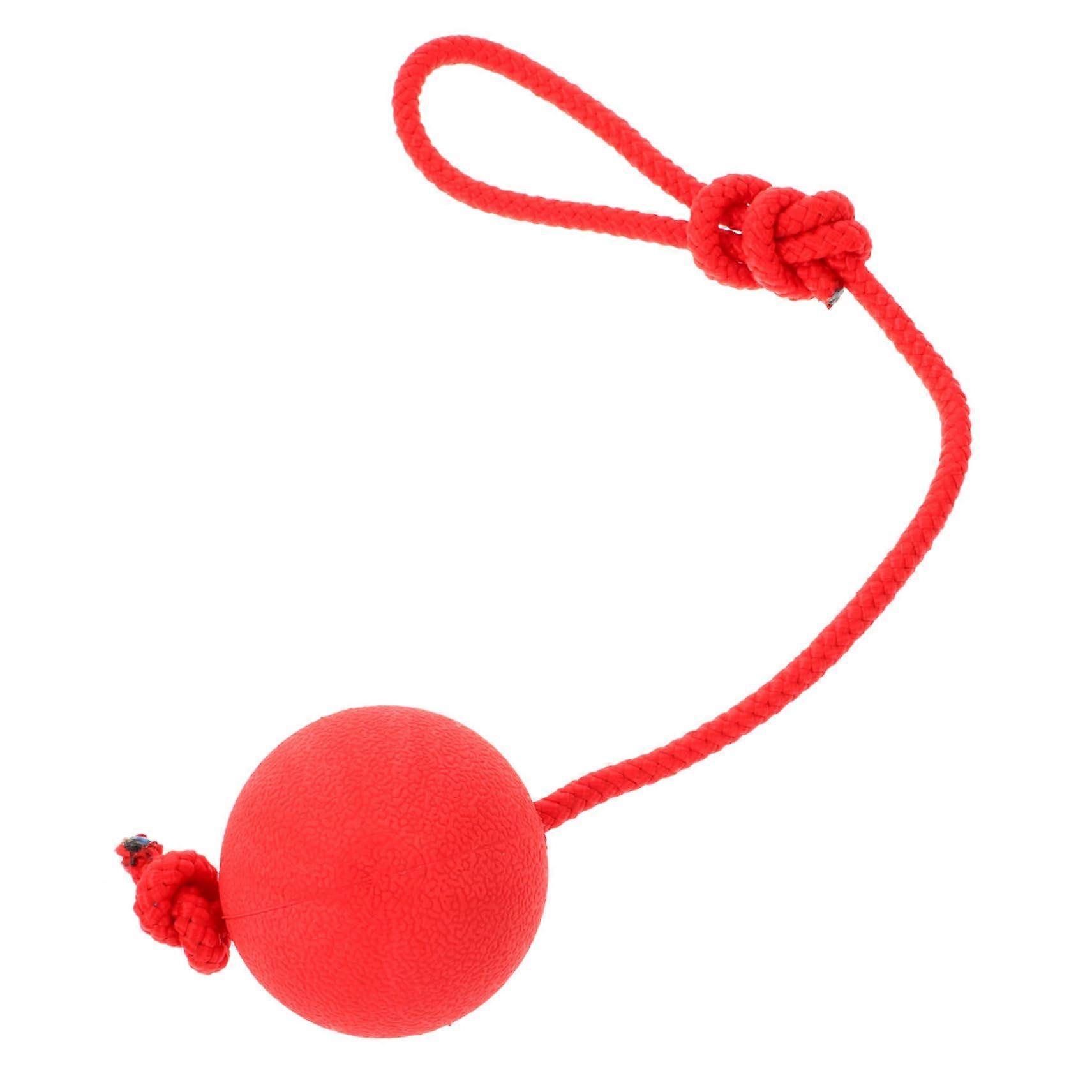 Dog Toy Rubber Ball With Rope - Elastic, Bite-Resistant Ball for Puppies, Training and Outdoor Play, Random Rope Color