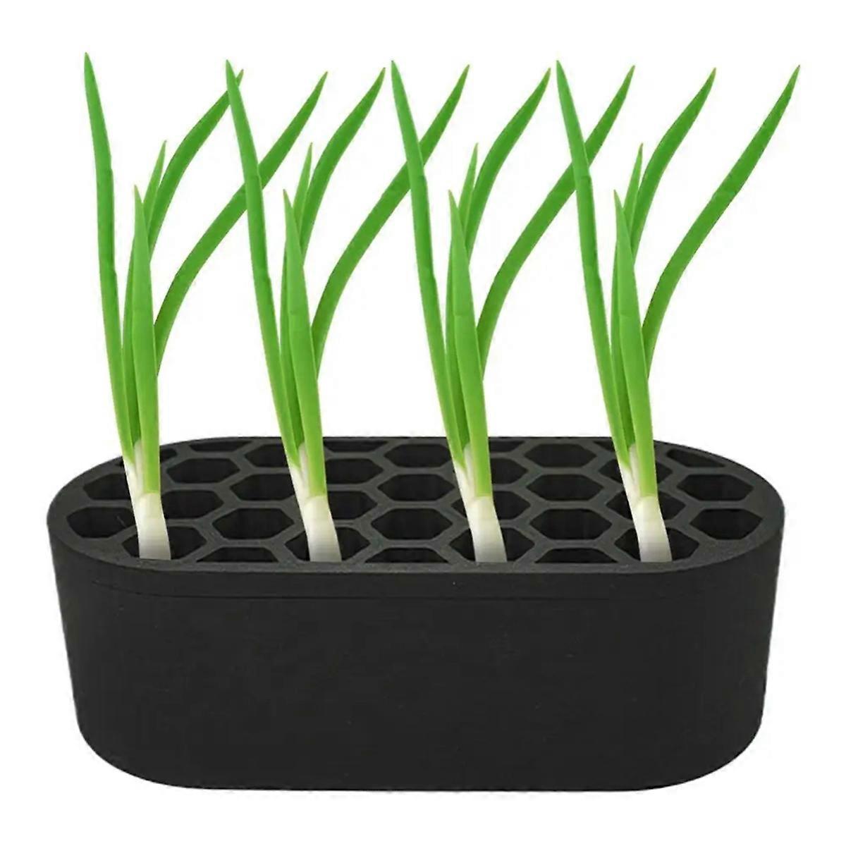 Scallion Planter SeedlingStarter Trays Regenerator System