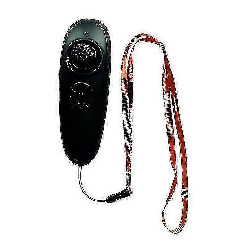 Intelligent Remote Control Fishing Boat Automatic Fixed Point Baiting and Nesting Wireless Remote Co Cs