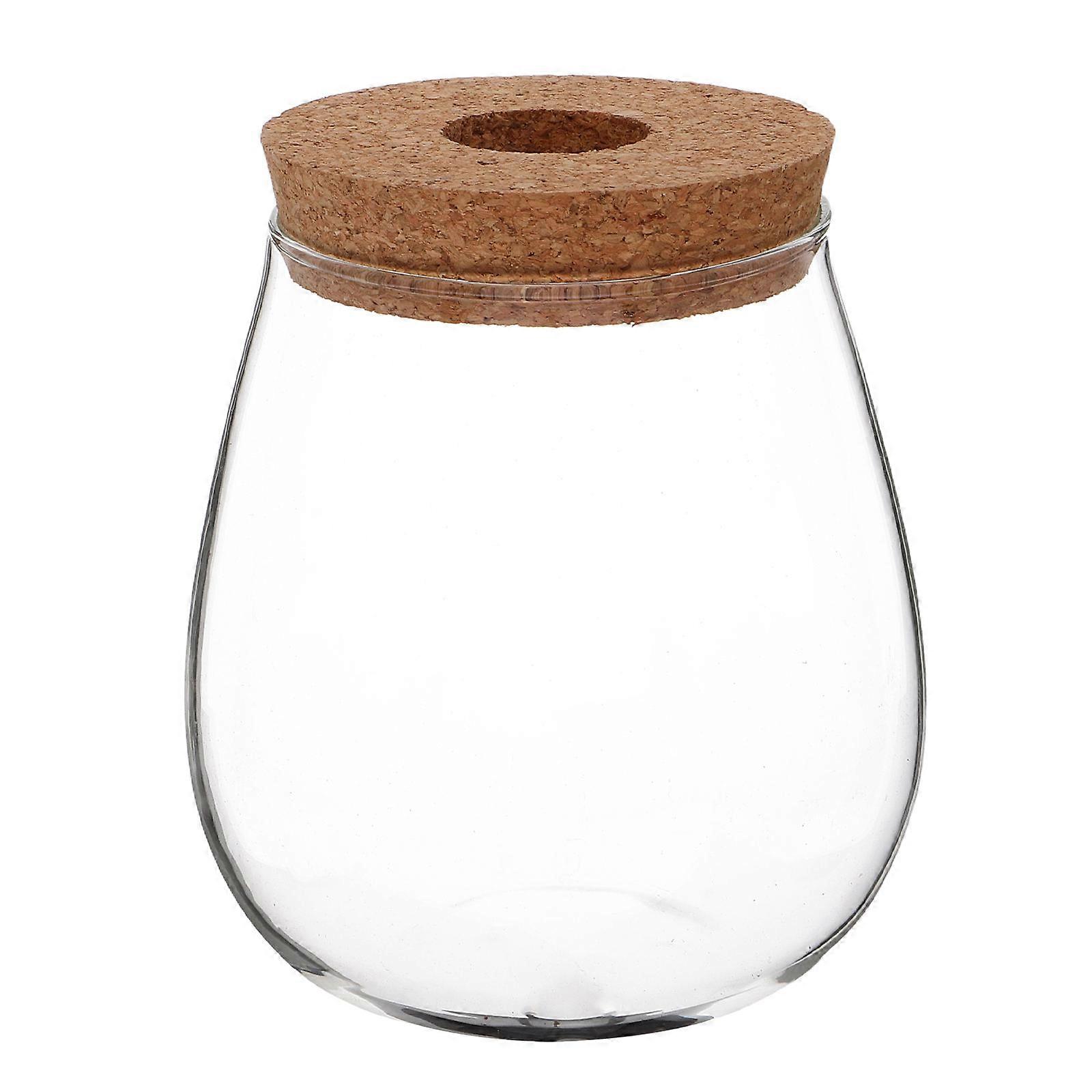 Creative Hydroponic Glass Vase for Plants Transparent Table Decor