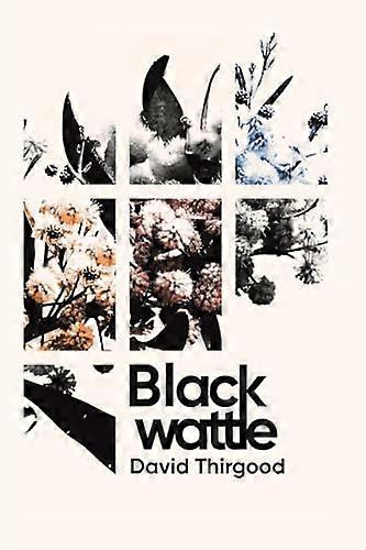 Blackwattle