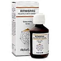 Ritmispag polichrestum ritmificans cardiovascular function 50 ml