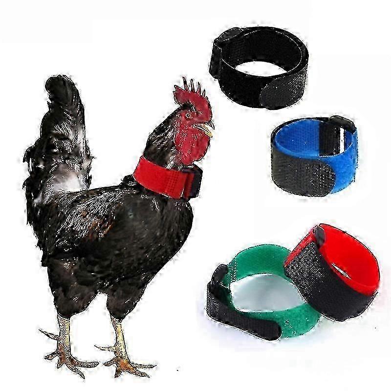 Quiet Rooster Nylon Neck Collar Set