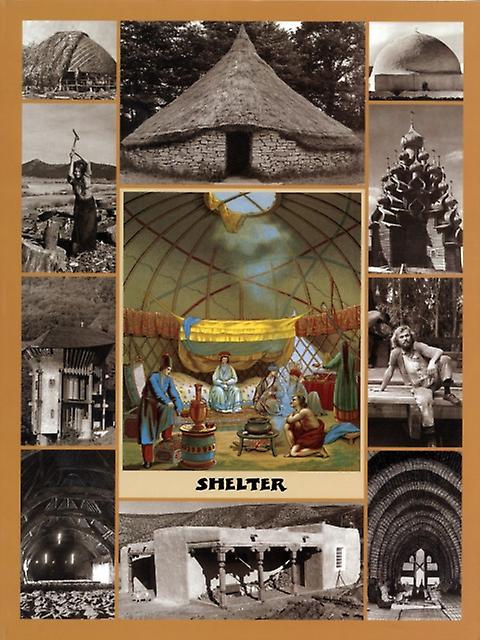 Shelter Paperback