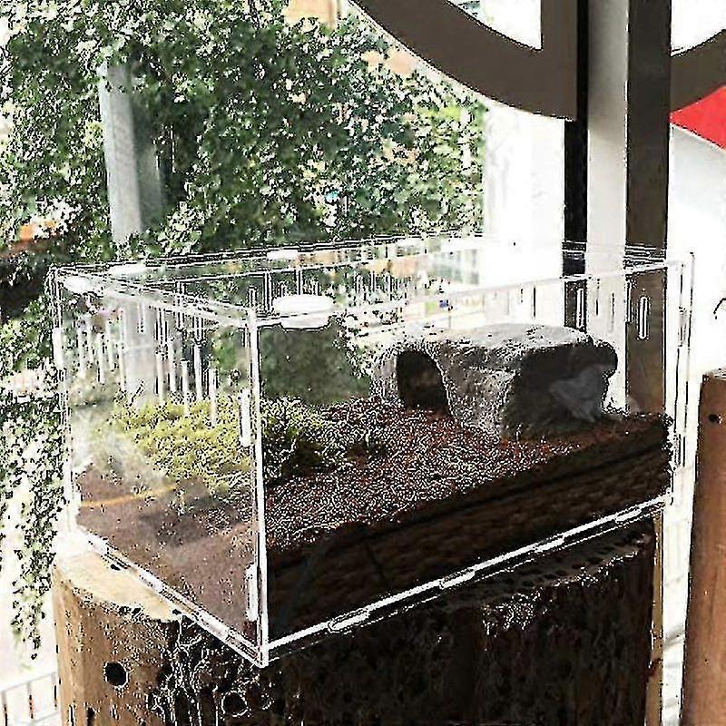 Mini Terrarium Transport Box, Acrylic Reptile Feeding Box, Portable Reptile Breeding Box Transparent Reptile Breeding Case For Spider Lizard, Lizard