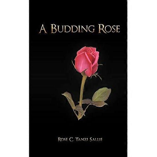 A Budding Rose