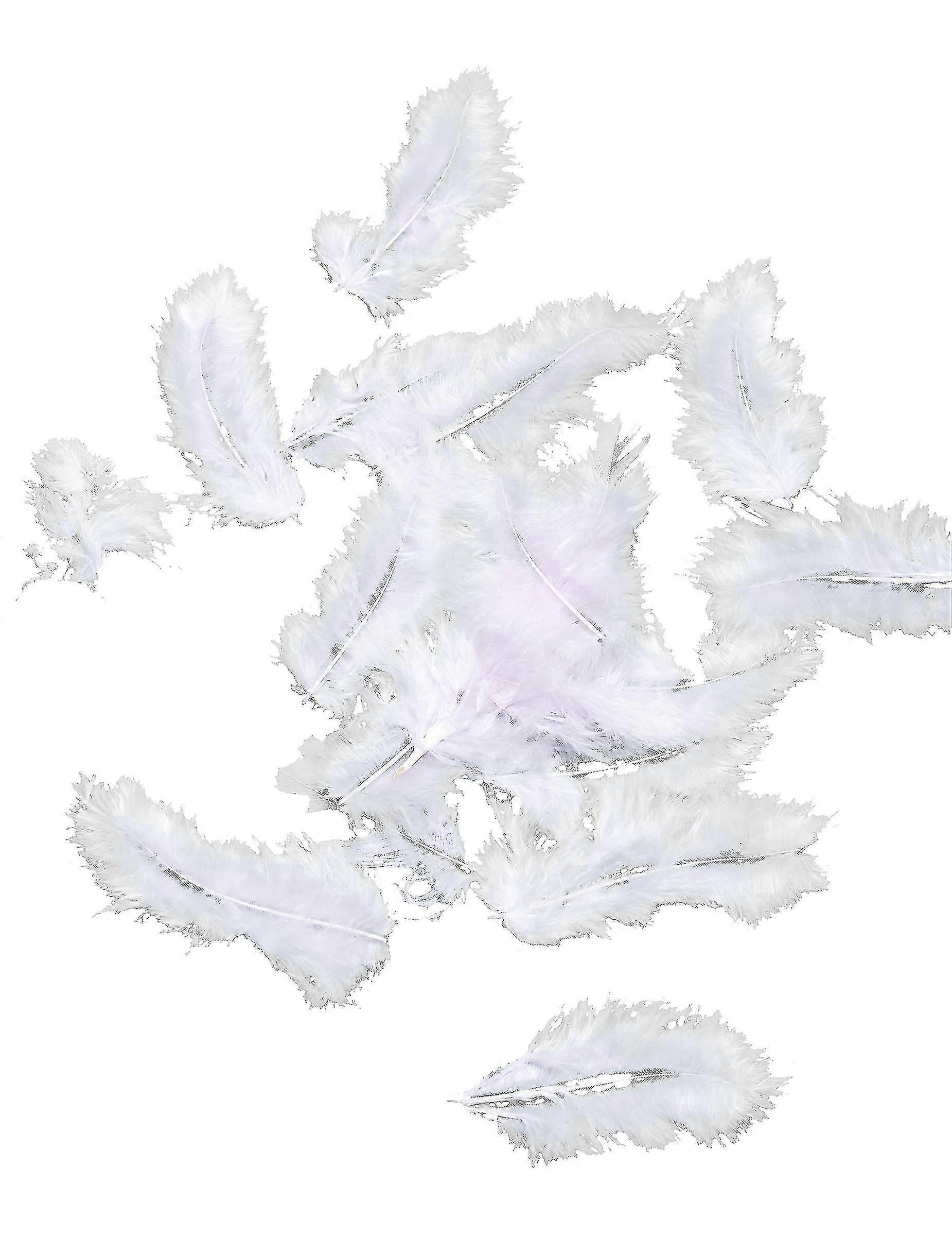 20 Decorative feathers parma 5,5 cm
