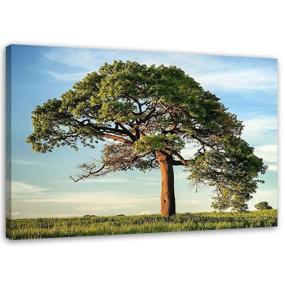 Impression sur toile, Grand arbre - 100x70