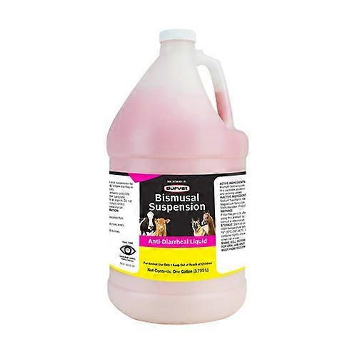 Durvet Bismusol Suspension Anti-Diarrheal Liquid, 1 Gallon