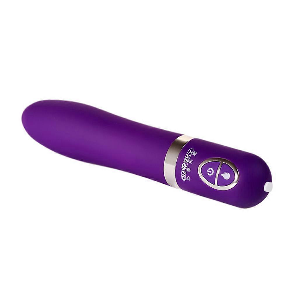 10 Vibration Modes Vibrator G Spot Heating Stimulator USB Rechargeable Massager purple
