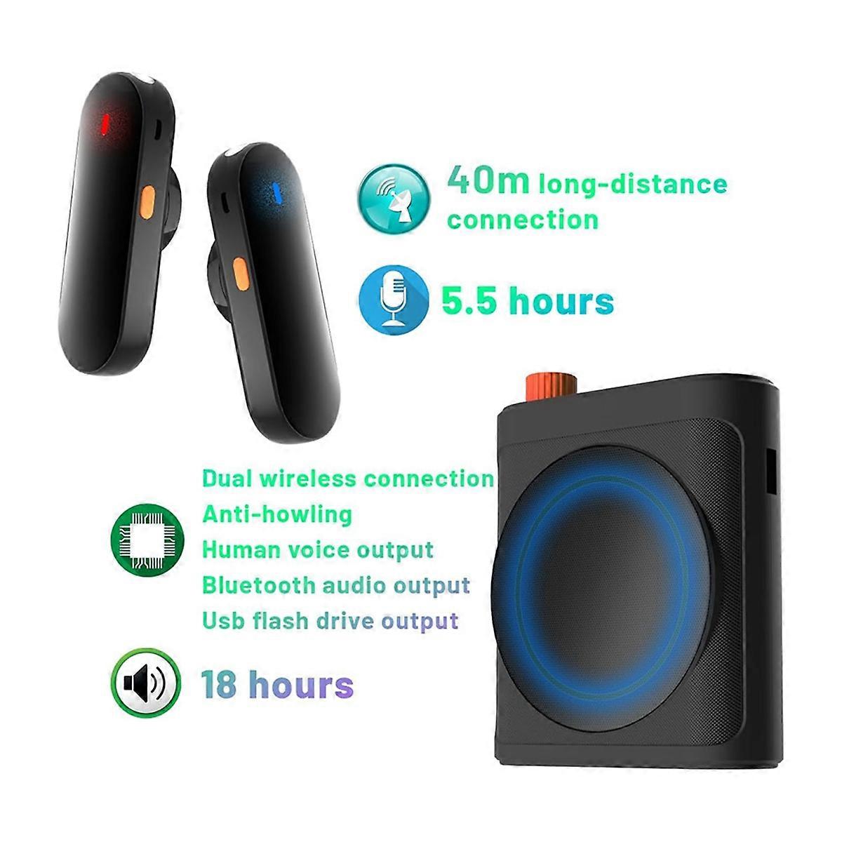 Portable Voice Amplifier with 2 Wireless Microphones