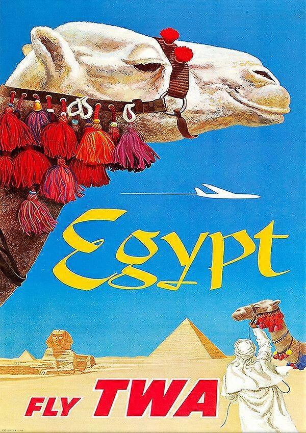 EGYPT CAMELJigsaw Puzzle Brain Teaser EB 5387