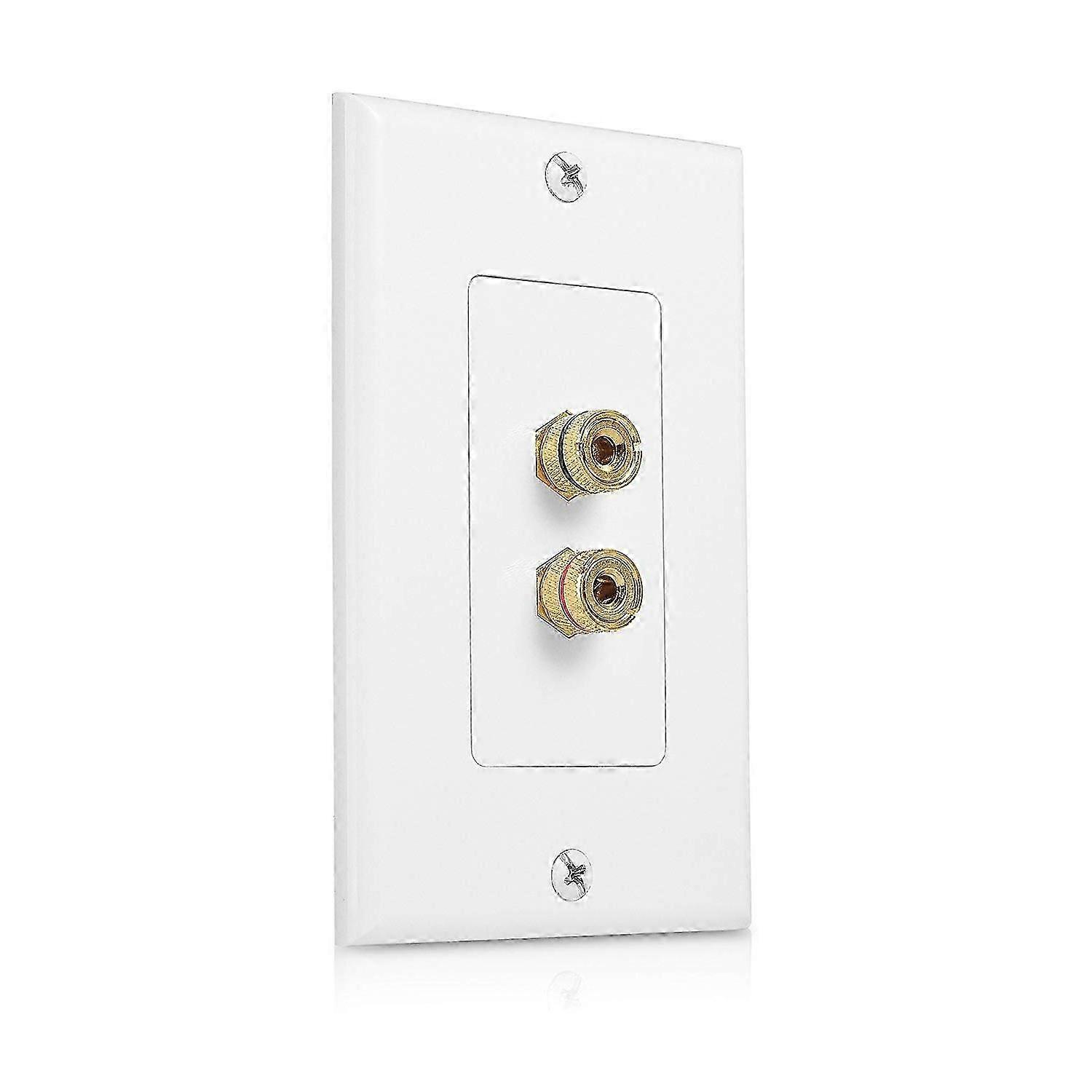 Audio Panel Wall Plate for 2 Posts