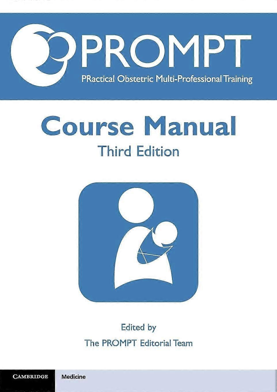 Prompt course manual