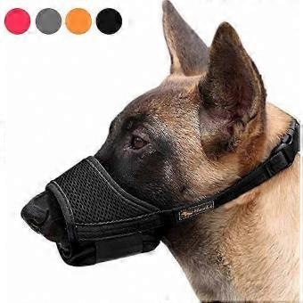 Dog Muzzle Breathable Mesh Durable Nylon Adjustable Loop Soft Pad Training Muzzle Prevent for Barking Biting and Chewing