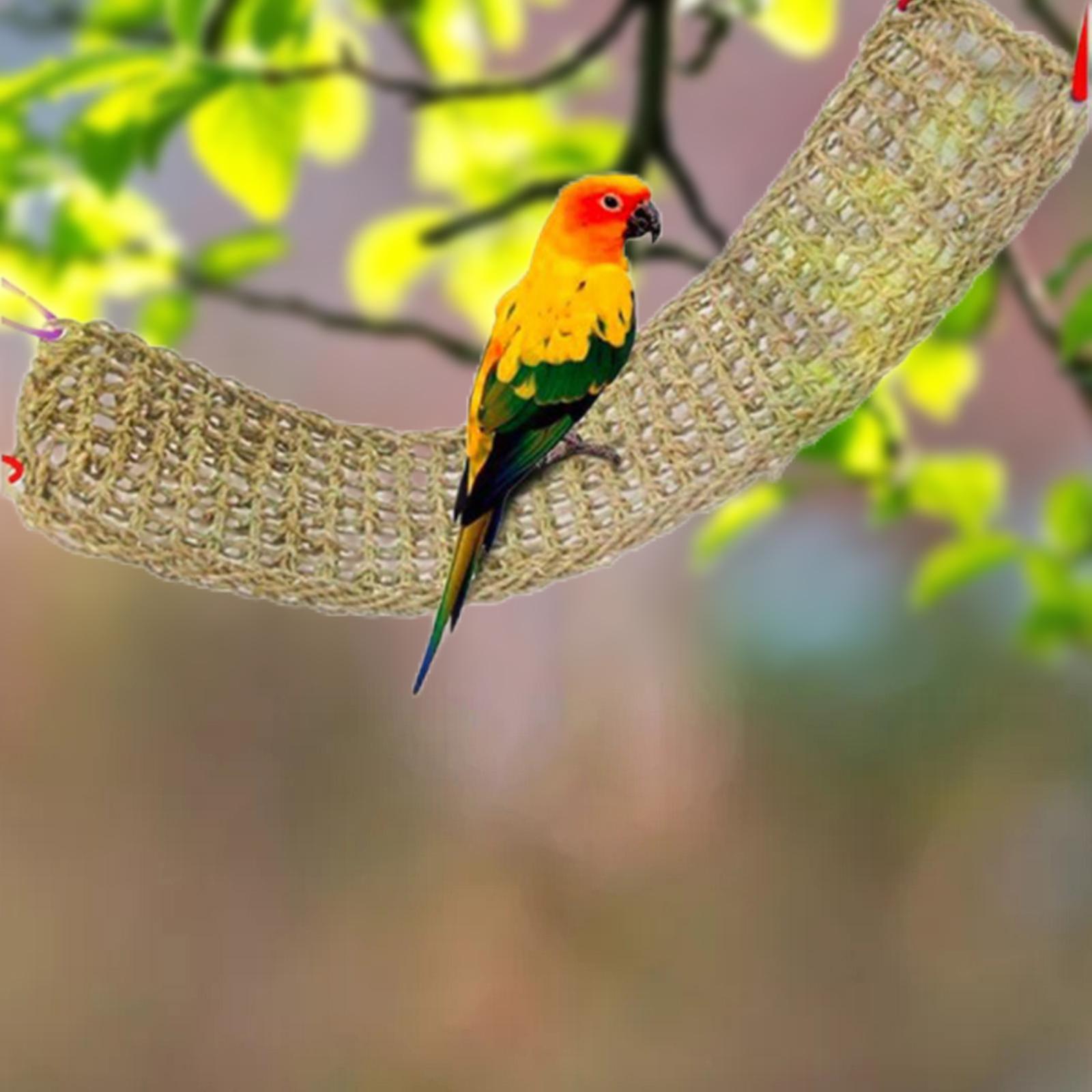 Parrots Stand Climbing Net Hanging Accessory Hammock without Bells