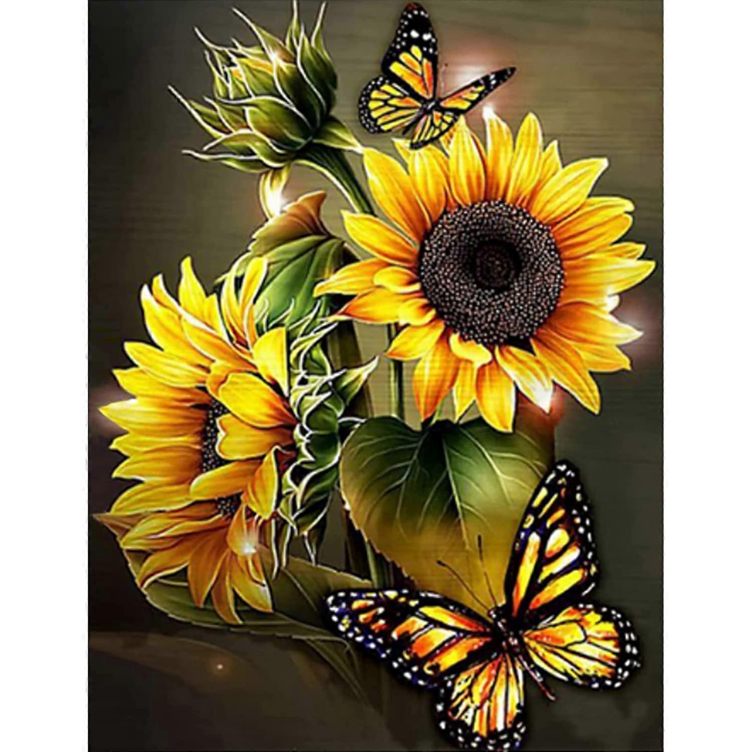 Diamond Painting Kits for Adults 12x16 Inch DIY Paint by Numbers Beginner Friendly Craft Project with Colorful Designs