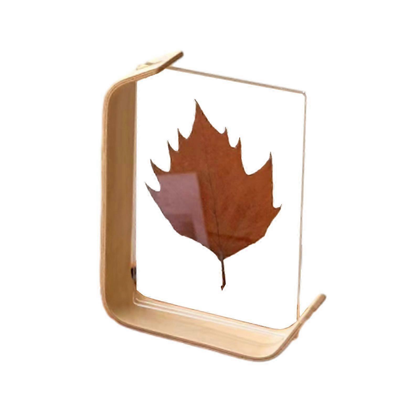 Double Sided Acrylic Display Stand Stylish Photo Frame Leaf Specimens Keeper Small Decorative Wooden Photo Frame