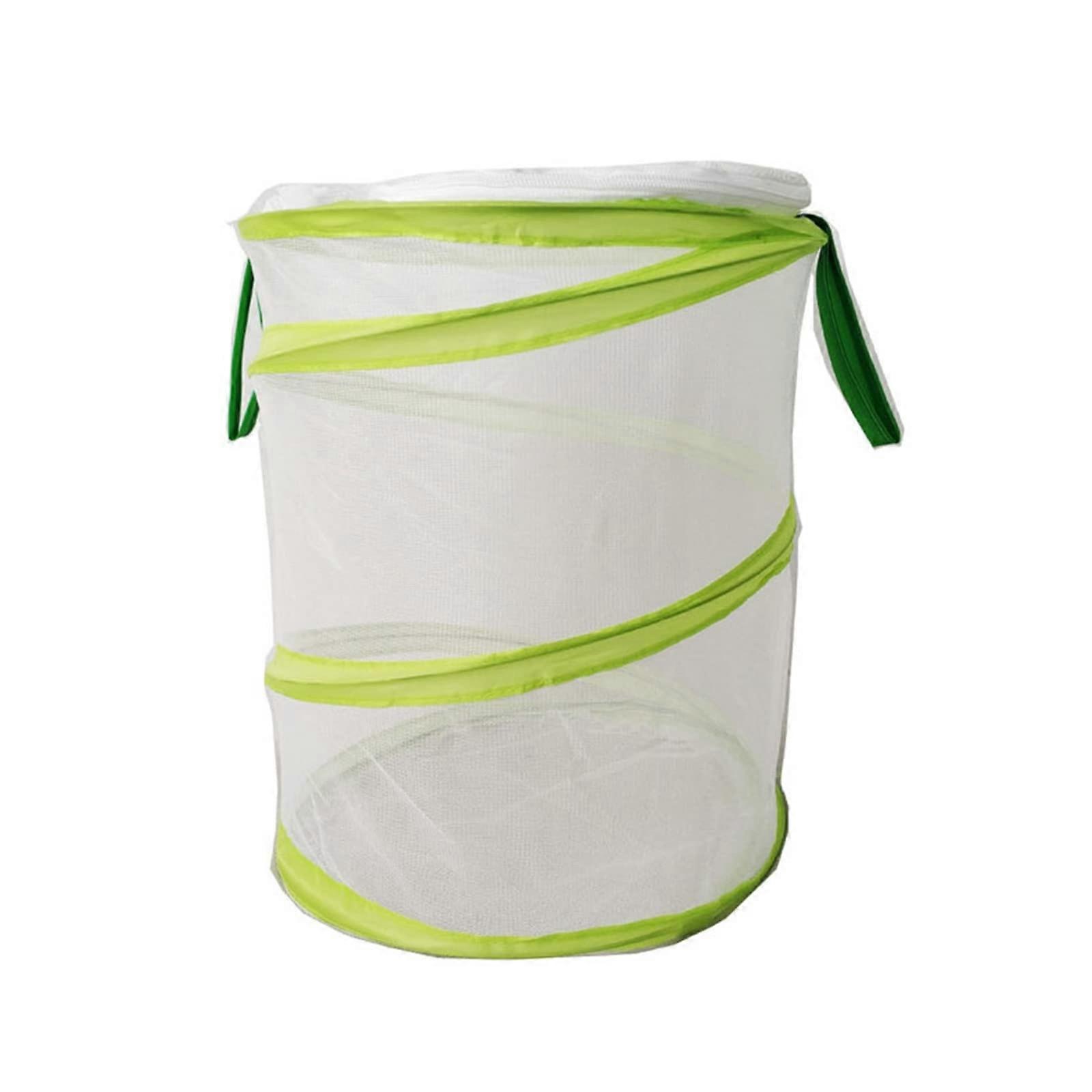 Butterfly Habitat Foldable Insect Catcher Net Mesh Cage Terrarium PopUp 30x35cm Green