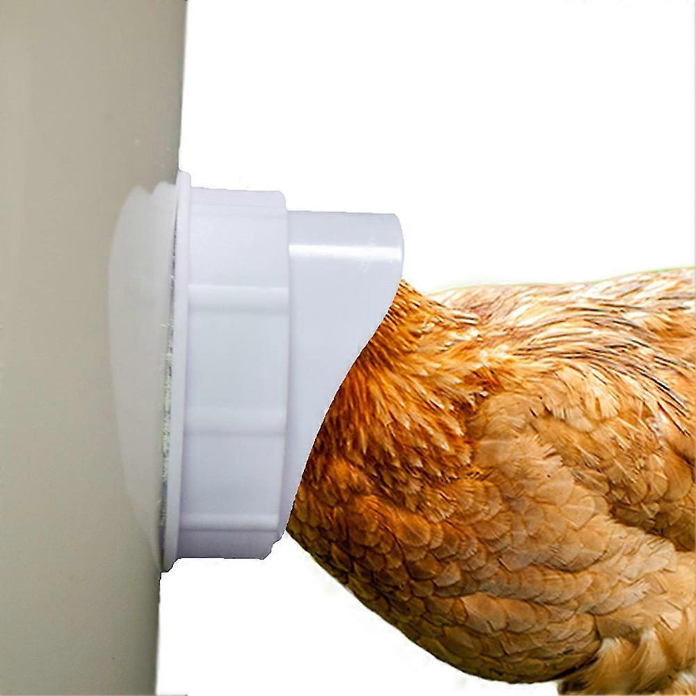 Rainproof Poultry Feeder Port 1 Piece DIY Poultry Kit Pro Feeding Kit Special Tools for Duck Chicken Breeding Hot  2022