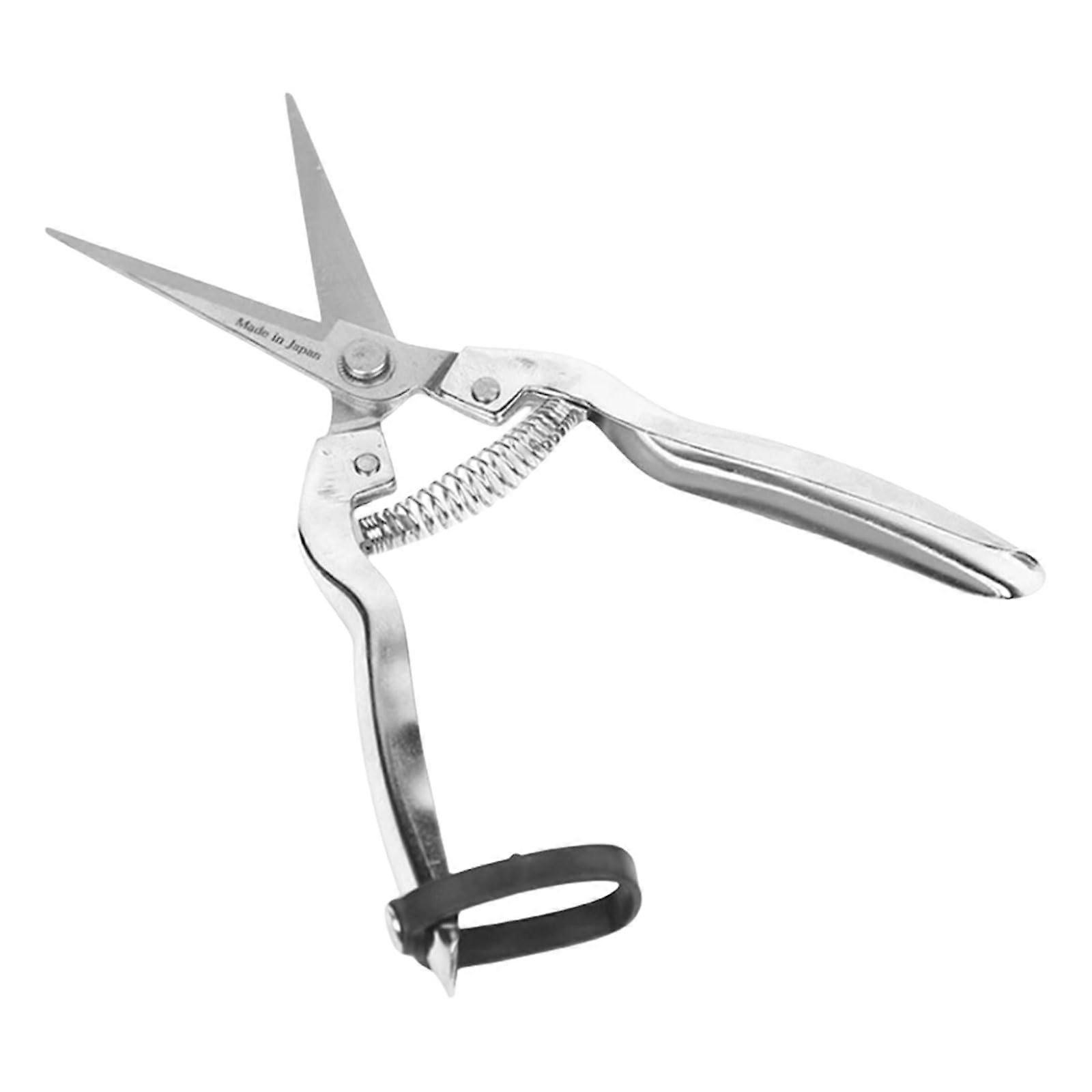 Stainless Steel Pruning Shears for Flowering Branches and Fruit Trees with Simple Garden Tool