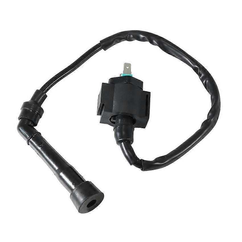 Applicable High voltage pack ignition coil For SMC Barossa Quadzilla 250-300cc for Explorer Titan 300 Tomahawk 250 RLX250 62310-CBT-00