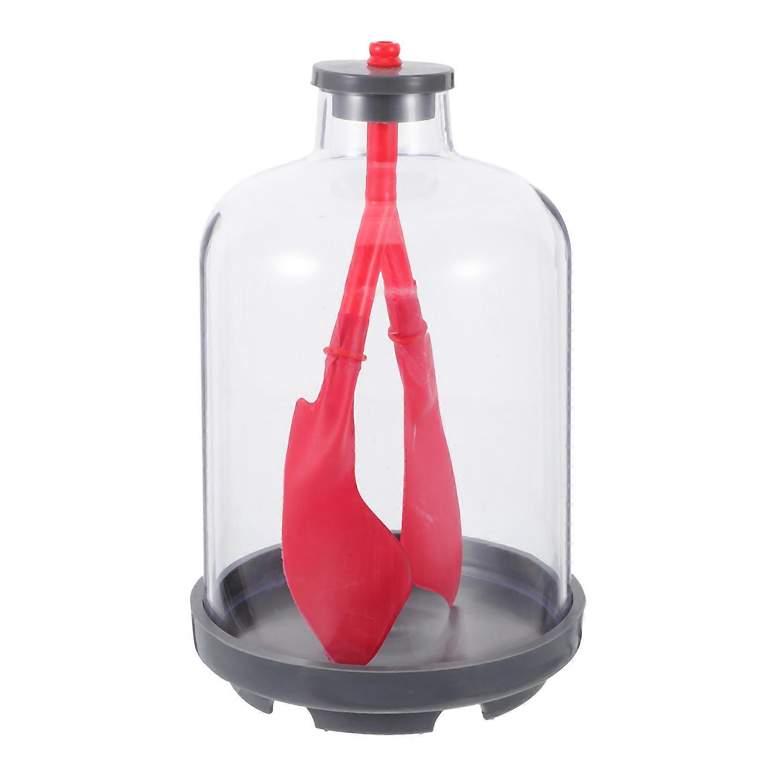 Human Lung Model with Realistic Diaphragm for Science Made of Plastic Red Color Ideal for Biology Experiments 5.9 Inches