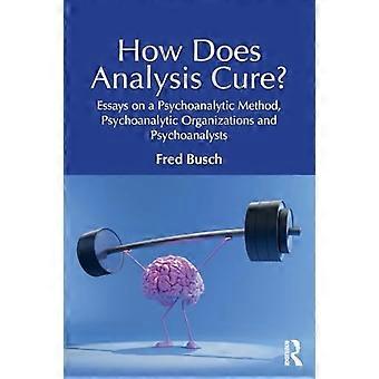 Wie heilt die Analyse?: Essays über eine psychoanalytische Methode, psychoanalytische Organisationen und Psychoanalytiker