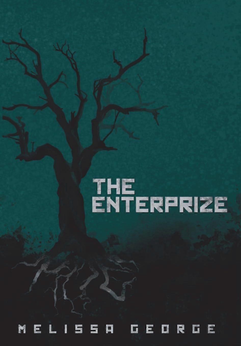 The enterprize