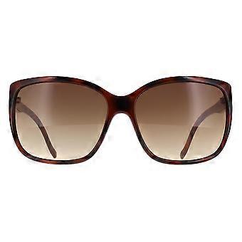 Calvin Klein Sunglasses CK20518SN 235 Havana Brown Gradient