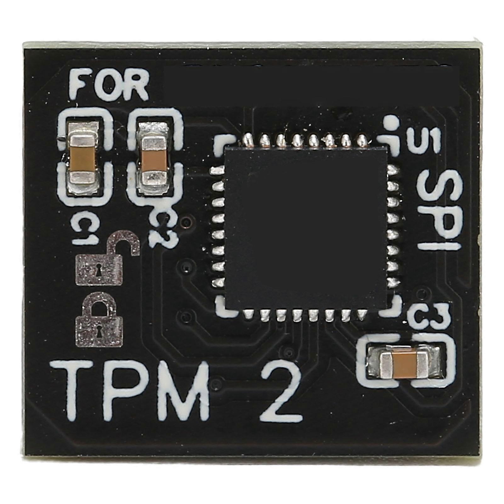 TPM 2.0 Encryption Security Module 12Pin LPC Interface Remote Card Encryption Security Module for GIGABYTE 12Pin LPC Tpm2.0